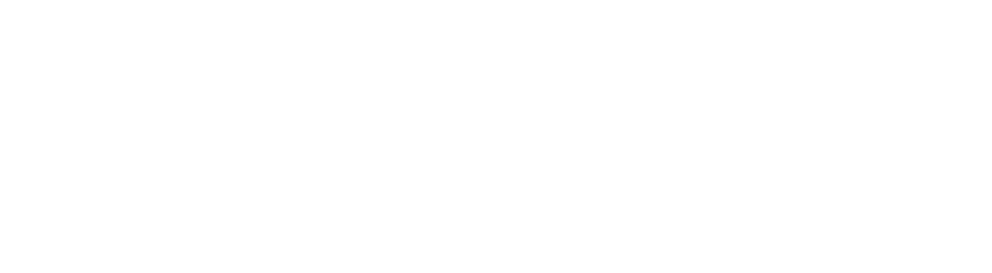 DIM AI logo